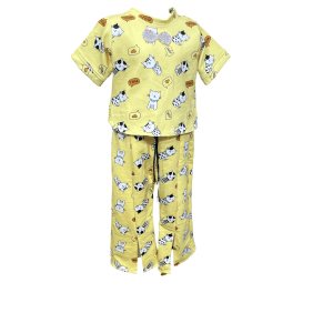 Night Drees
